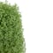 15" Unlit Artificial Boxwood Cone Topiary Tree with Round Pot